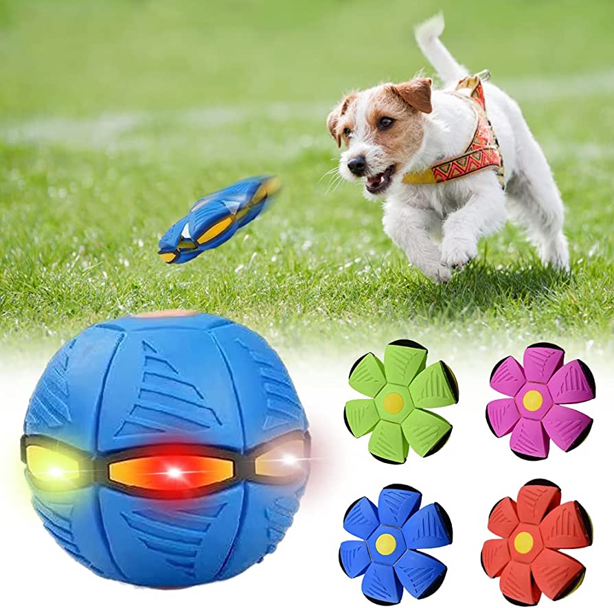 paws and claws™ Dog Frisbee