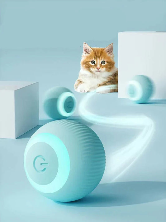 paws and claws Interactive Ball