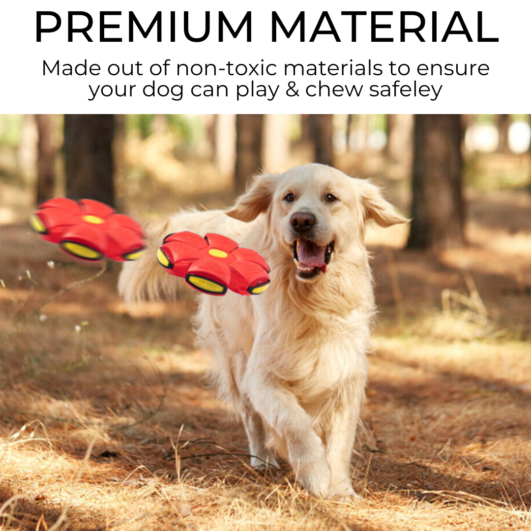 paws and claws™ Dog Frisbee